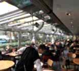 IRF-REYHAN4-1 IRF-REYHAN4-1